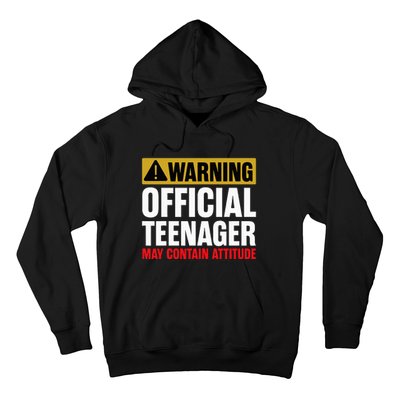 13 Birthday O.fficial Teenager 13yr Math 13th Birthday Hoodie