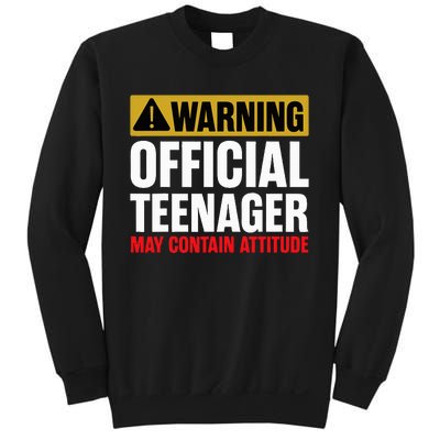 13 Birthday O.fficial Teenager 13yr Math 13th Birthday Sweatshirt