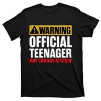 13 Birthday O.fficial Teenager 13yr Math 13th Birthday T-Shirt