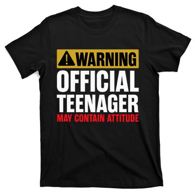 13 Birthday O.fficial Teenager 13yr Math 13th Birthday T-Shirt