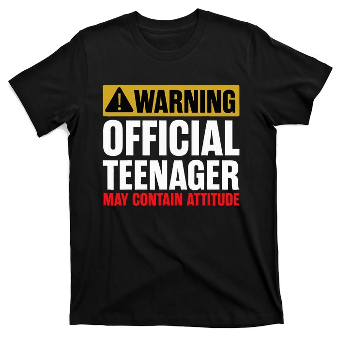 13 Birthday O.fficial Teenager 13yr Math 13th Birthday T-Shirt