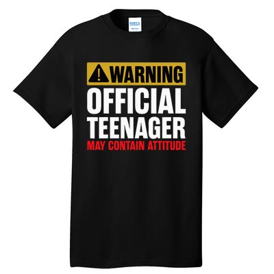 13 Birthday O.fficial Teenager 13yr Math 13th Birthday Tall T-Shirt