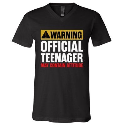 13 Birthday O.fficial Teenager 13yr Math 13th Birthday V-Neck T-Shirt