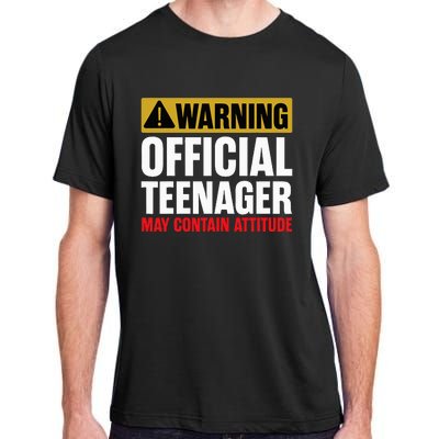 13 Birthday O.fficial Teenager 13yr Math 13th Birthday Adult ChromaSoft Performance T-Shirt