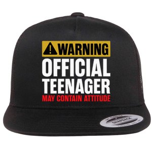 13 Birthday O.fficial Teenager 13yr Math 13th Birthday Flat Bill Trucker Hat