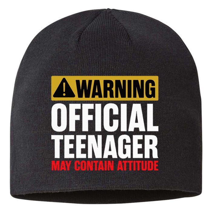 13 Birthday O.fficial Teenager 13yr Math 13th Birthday Sustainable Beanie