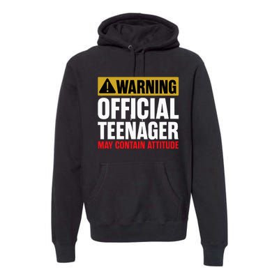 13 Birthday O.fficial Teenager 13yr Math 13th Birthday Premium Hoodie