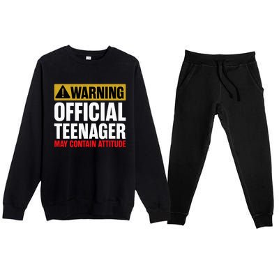 13 Birthday O.fficial Teenager 13yr Math 13th Birthday Premium Crewneck Sweatsuit Set