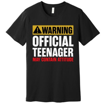 13 Birthday O.fficial Teenager 13yr Math 13th Birthday Premium T-Shirt