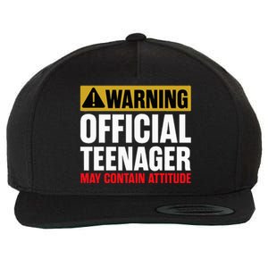 13 Birthday O.fficial Teenager 13yr Math 13th Birthday Wool Snapback Cap