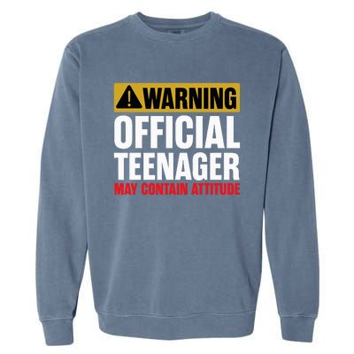 13 Birthday O.fficial Teenager 13yr Math 13th Birthday Garment-Dyed Sweatshirt