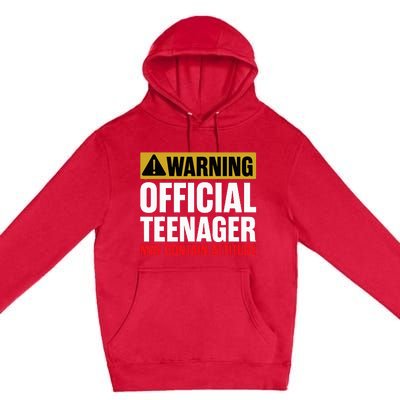 13 Birthday O.fficial Teenager 13yr Math 13th Birthday Premium Pullover Hoodie