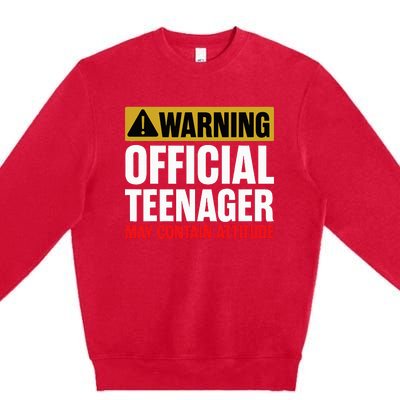 13 Birthday O.fficial Teenager 13yr Math 13th Birthday Premium Crewneck Sweatshirt