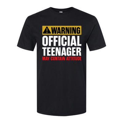 13 Birthday O.fficial Teenager 13yr Math 13th Birthday Softstyle CVC T-Shirt