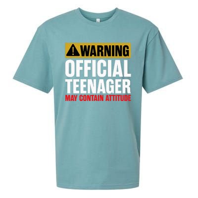 13 Birthday O.fficial Teenager 13yr Math 13th Birthday Sueded Cloud Jersey T-Shirt