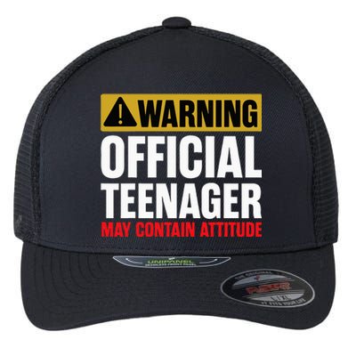 13 Birthday Official Teenager 13yr Math 13th Birthday Flexfit Unipanel Trucker Cap