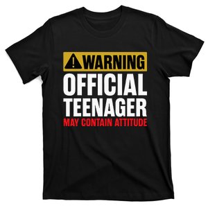 13 Birthday Official Teenager 13yr Math 13th Birthday T-Shirt