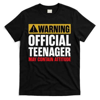 13 Birthday Official Teenager 13yr Math 13th Birthday T-Shirt