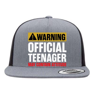 13 Birthday Official Teenager 13yr Math 13th Birthday Flat Bill Trucker Hat