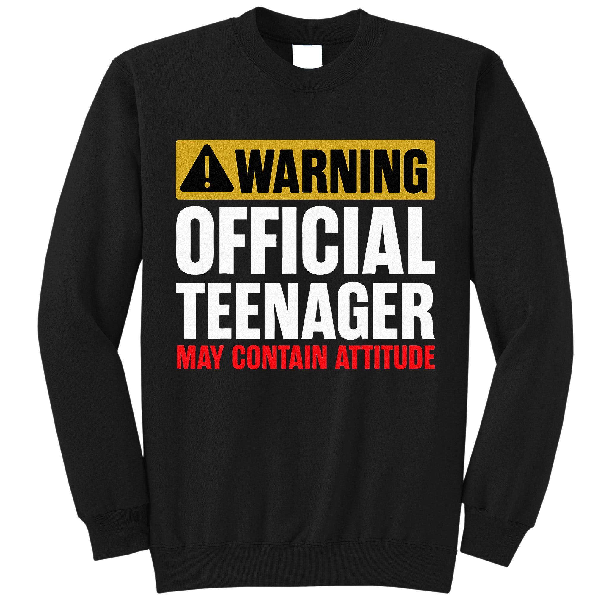 13 Birthday Official Teenager 13yr Math 13th Birthday Tall Sweatshirt