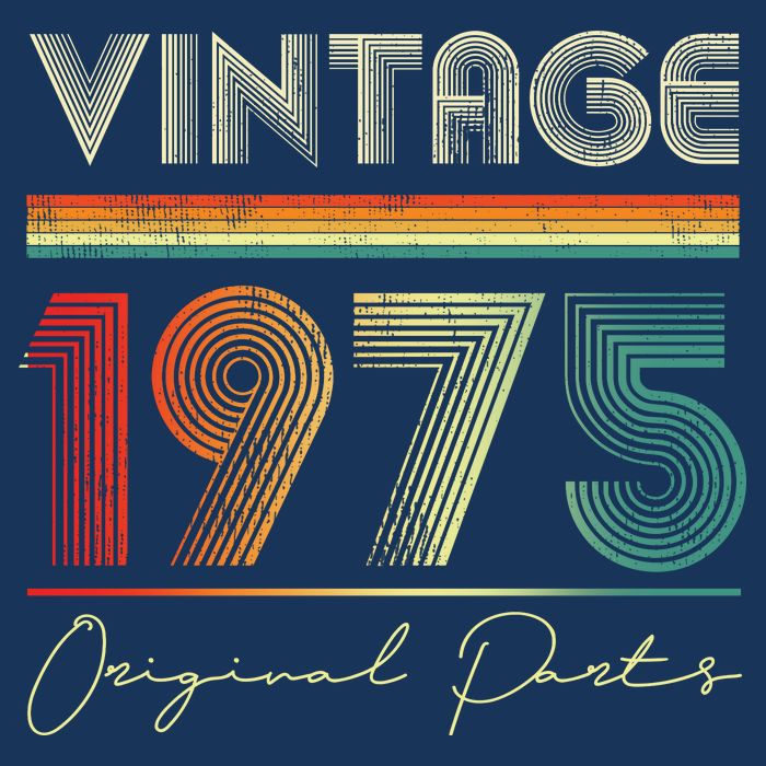 1975 Birthday Retro Original Parts 48th Birthday Premium T-Shirt