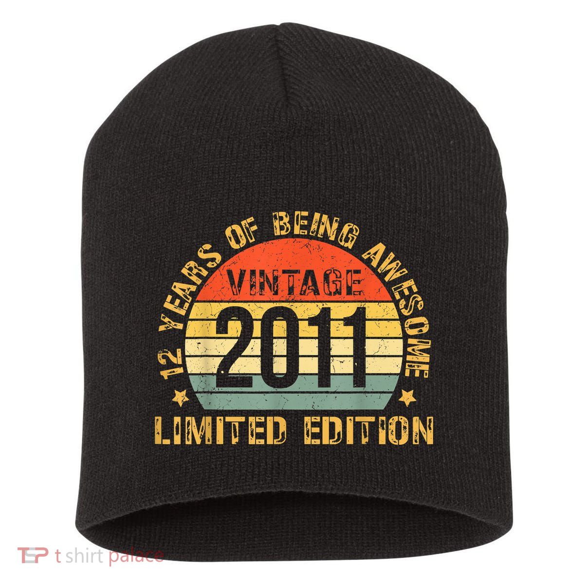 12yr BDay Son Boy Funny 2011 12th 12 Year Old Birthday Short Acrylic Beanie