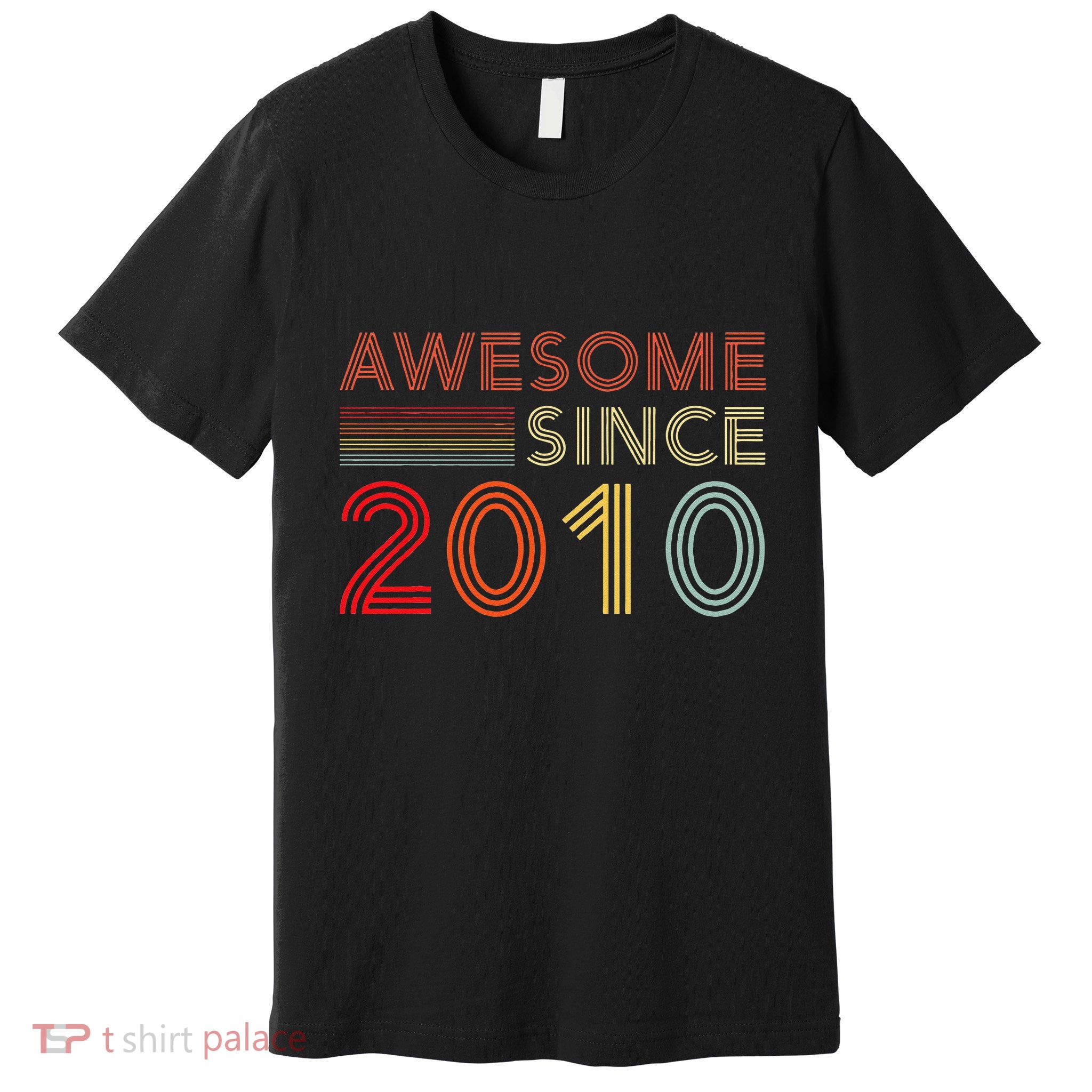 13yr BDay Son Boy Funny 2010 13th 13 Year Old Birthday Premium T-Shirt