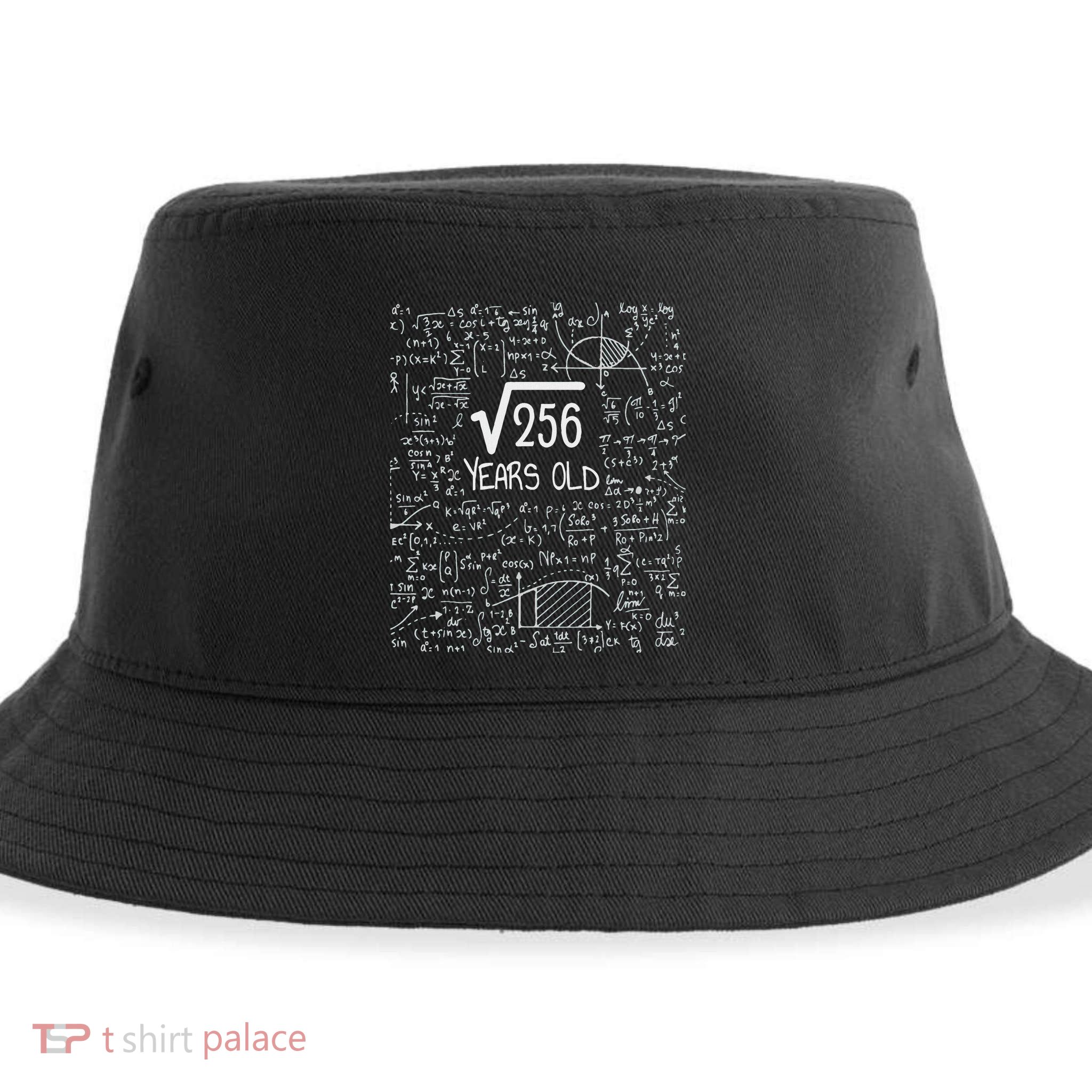 16th Birthday Square Root Of 256 16 Years Old Sustainable Bucket Hat