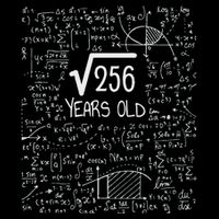 16th Birthday Square Root Of 256 16 Years Old Button