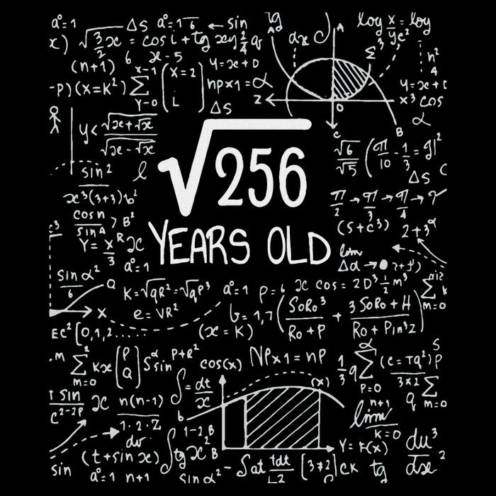 16th Birthday Square Root Of 256 16 Years Old Button