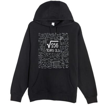 16th Birthday Square Root Of 256 16 Years Old Premium Pullover Hoodie