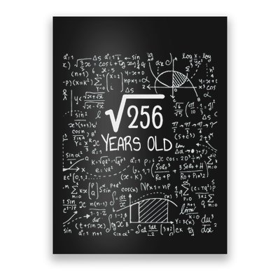 16th Birthday Square Root Of 256 16 Years Old Poster