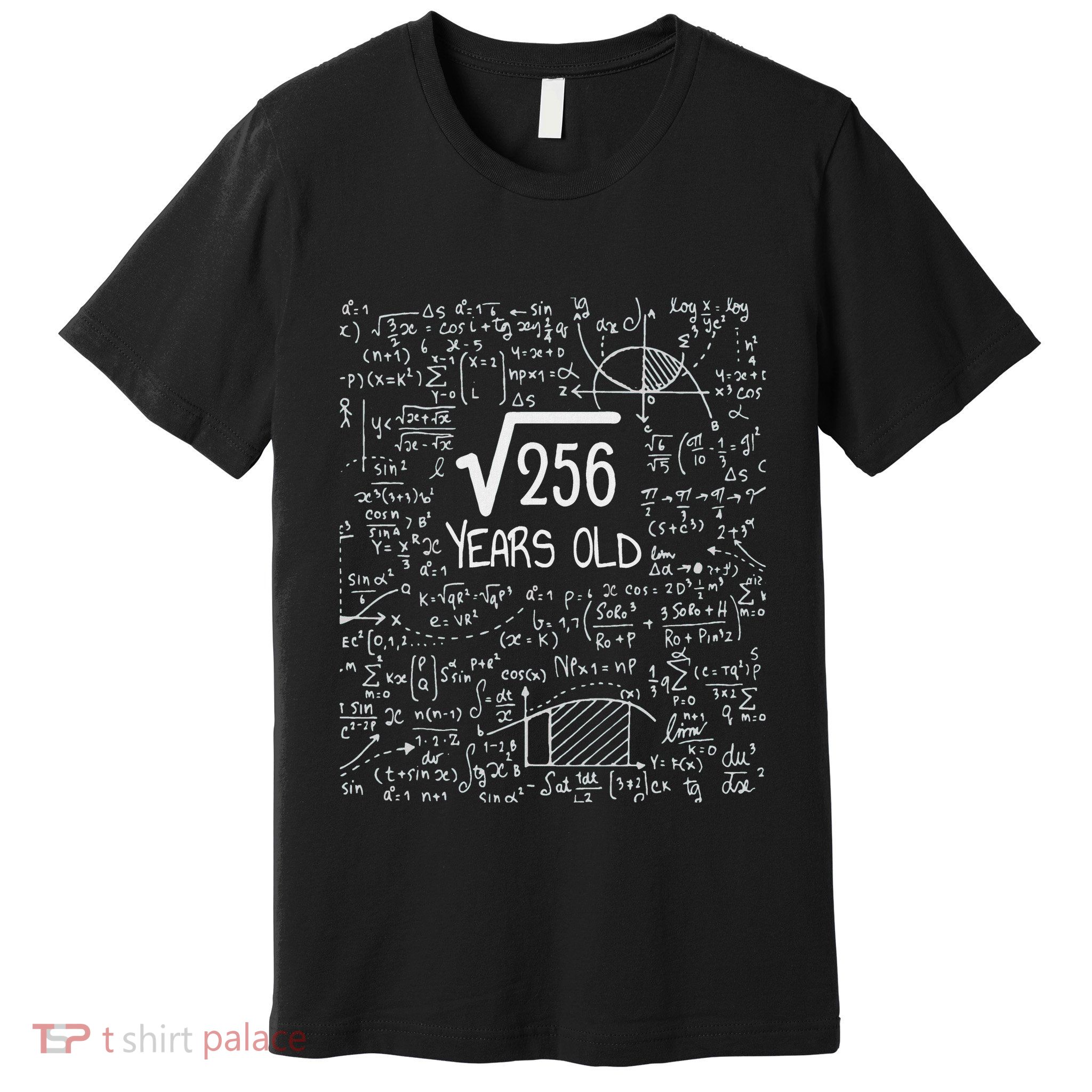 16th Birthday Square Root Of 256 16 Years Old Premium T-Shirt