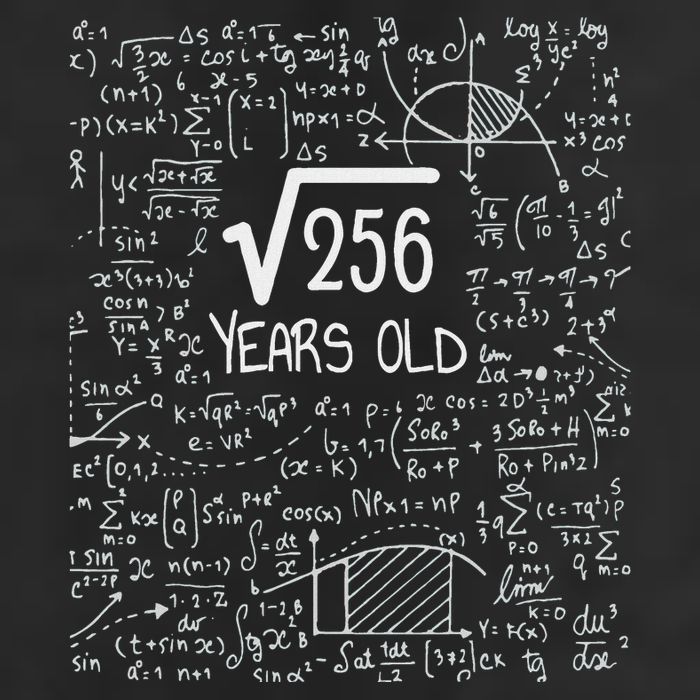 16th Birthday Square Root Of 256 16 Years Old 25L Jumbo Tote