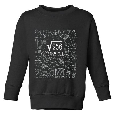 16th Birthday Square Root Of 256 16 Years Old Toddler Sweatshirt