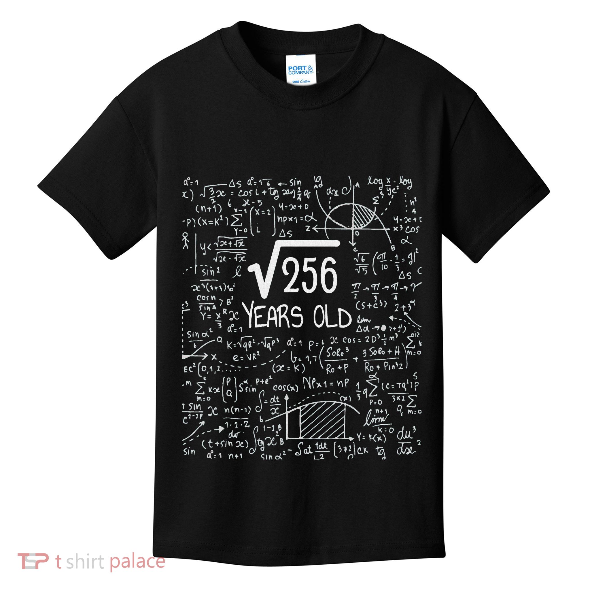16th Birthday Square Root Of 256 16 Years Old Kids T-Shirt