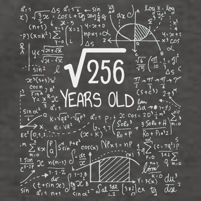 16th Birthday Square Root Of 256 16 Years Old Vector Backpack