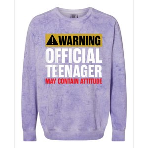 13 Birthday Teenager Boy 13yr Math 13th Birthday Colorblast Crewneck Sweatshirt