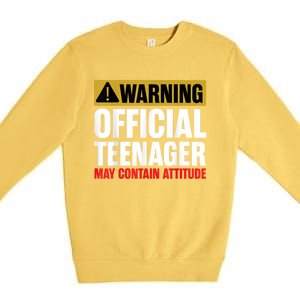 13 Birthday Teenager Boy 13yr Math 13th Birthday Premium Crewneck Sweatshirt