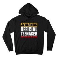 13 Birthday Teenager Boy 13yr Math 13th Birthday Hoodie