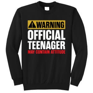 13 Birthday Teenager Boy 13yr Math 13th Birthday Sweatshirt