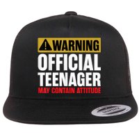 13 Birthday Teenager Boy 13yr Math 13th Birthday Flat Bill Trucker Hat