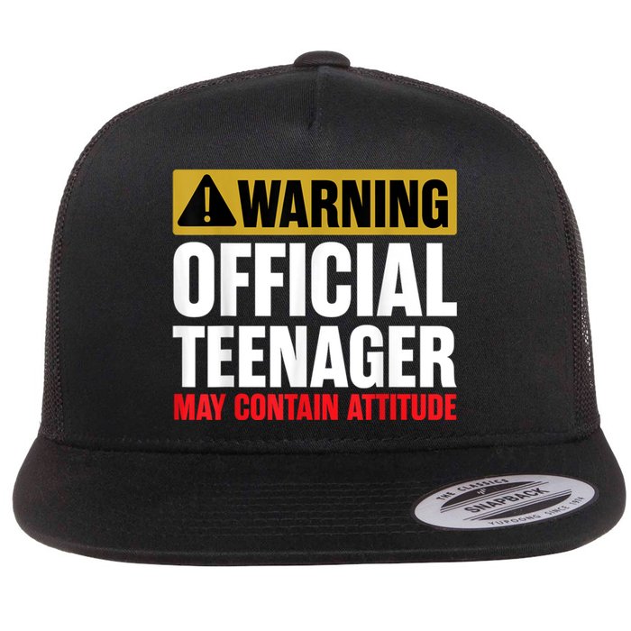 13 Birthday Teenager Boy 13yr Math 13th Birthday Flat Bill Trucker Hat