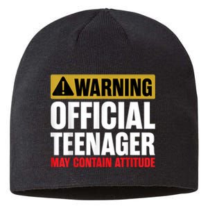 13 Birthday Teenager Boy 13yr Math 13th Birthday Sustainable Beanie