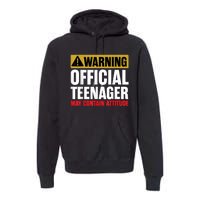 13 Birthday Teenager Boy 13yr Math 13th Birthday Premium Hoodie