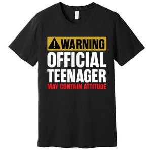 13 Birthday Teenager Boy 13yr Math 13th Birthday Premium T-Shirt