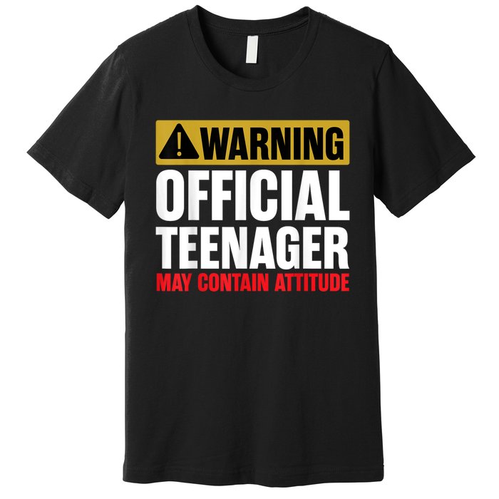 13 Birthday Teenager Boy 13yr Math 13th Birthday Premium T-Shirt