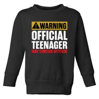 13 Birthday Teenager Boy 13yr Math 13th Birthday Toddler Sweatshirt