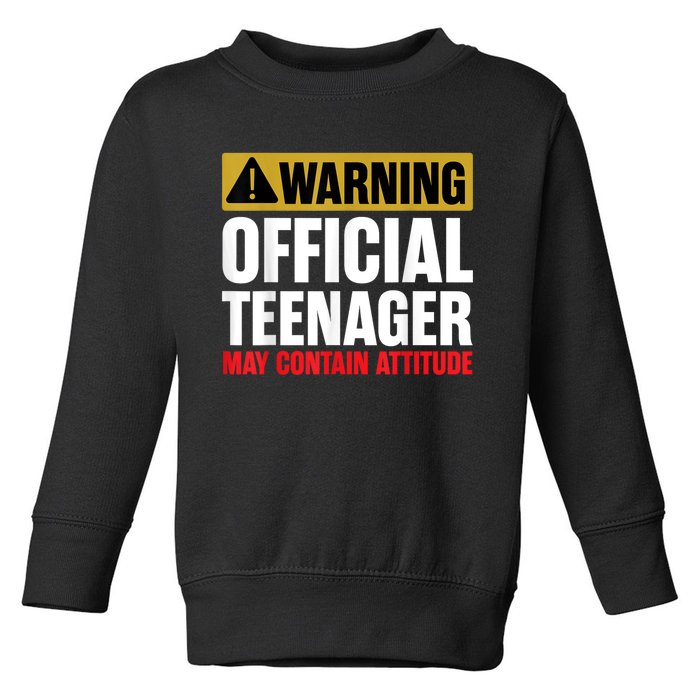 13 Birthday Teenager Boy 13yr Math 13th Birthday Toddler Sweatshirt