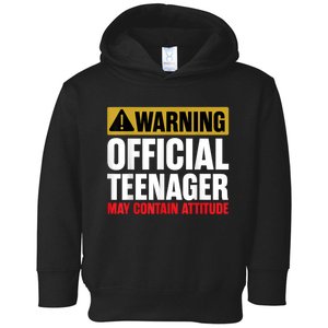 13 Birthday Teenager Boy 13yr Math 13th Birthday Toddler Hoodie